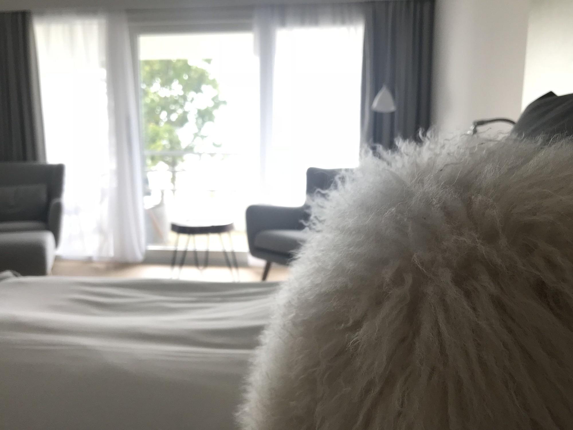 Fredensborg Badehotel 伦讷 外观 照片